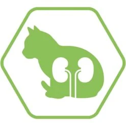 Purina Proplan Optirenal Chat Adult Sterilised Saumon 10 Kg -Magasin De Fournitures Pour Animaux De Compagnie purina proplan optirenal adult cat sterilised saumon 10 kg3