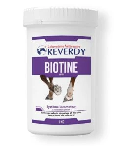 Reverdy Biotine 1 Kg