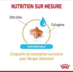 Royal Canin Berger Allemand Adult 5+ 12 Kg -Magasin De Fournitures Pour Animaux De Compagnie royal canin berger allemand adult 5 2 1
