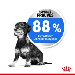 Royal Canin Canine Care Nutrition Mini Light Weight Care 8 Kg -Magasin De Fournitures Pour Animaux De Compagnie royal canin canine care nutrition mini light weight care3 2