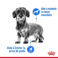 Royal Canin Canine Care Nutrition Mini Light Weight Care 8 Kg -Magasin De Fournitures Pour Animaux De Compagnie royal canin canine care nutrition mini light weight care5 2