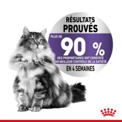 Royal Canin Féline Care Nutrition Appetite Control Sauce 12 X 85 G -Magasin De Fournitures Pour Animaux De Compagnie royal canin feline care nutrition appetite control sauce 12 x 85 g2