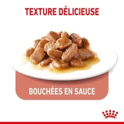 Royal Canin Féline Care Nutrition Appetite Control Sauce 12 X 85 G -Magasin De Fournitures Pour Animaux De Compagnie royal canin feline care nutrition appetite control sauce 12 x 85 g3