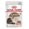Royal Canin Feline Health Nutrition Ageing +12 En Sauce 12 X 85 G -Magasin De Fournitures Pour Animaux De Compagnie royal canin feline health nutrition ageing 12 en sauce 12 x 85 g