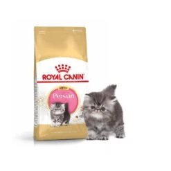 Royal Canin Persian Kitten 4 Kg 9 Royal Canin Persian Kitten 4 Kg -Magasin De Fournitures Pour Animaux De Compagnie royal canin pers kit 1