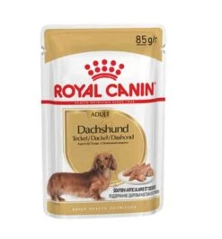 Royal Canin Teckel Adult Mousse 12 X 85 G