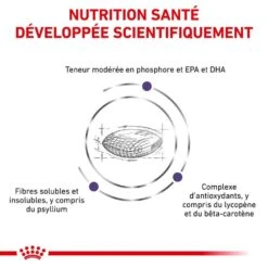 Royal Canin Vet Chat Mature Consult Balance 10 Kg 13 Royal Canin Vet Chat Mature Consult Balance 10 Kg -Magasin De Fournitures Pour Animaux De Compagnie royal canin vet chat mature consult balance 10 kg 3