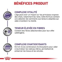 Royal Canin Vet Chat Mature Consult Balance 10 Kg 14 Royal Canin Vet Chat Mature Consult Balance 10 Kg -Magasin De Fournitures Pour Animaux De Compagnie royal canin vet chat mature consult balance 10 kg 4