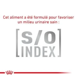 Royal Canin Vet Chat Mature Consult Balance 10 Kg 15 Royal Canin Vet Chat Mature Consult Balance 10 Kg -Magasin De Fournitures Pour Animaux De Compagnie royal canin vet chat mature consult balance 10 kg 5