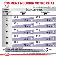 Royal Canin Vet Chat Mature Consult Balance 10 Kg 16 Royal Canin Vet Chat Mature Consult Balance 10 Kg -Magasin De Fournitures Pour Animaux De Compagnie royal canin vet chat mature consult balance 10 kg 6