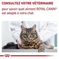 Royal Canin Vet Chat Mature Consult Balance 10 Kg 19 Royal Canin Vet Chat Mature Consult Balance 10 Kg -Magasin De Fournitures Pour Animaux De Compagnie royal canin vet chat mature consult balance 10 kg 9