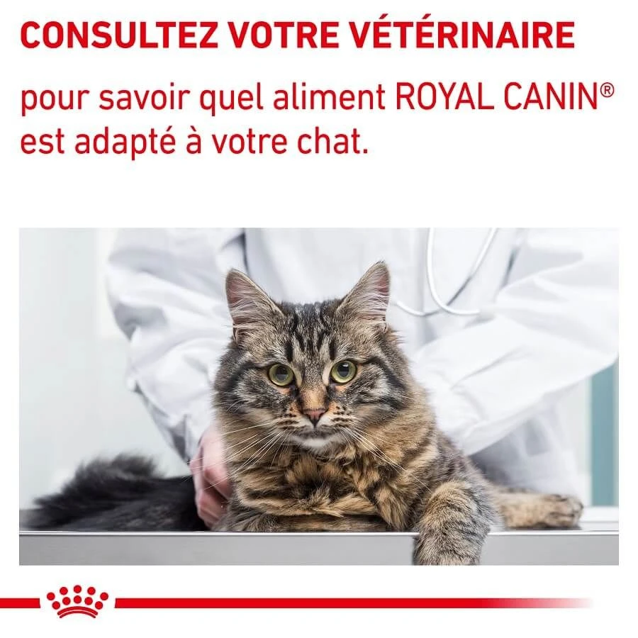 Royal Canin Vet Chat Mature Consult Balance 10 Kg 11 Royal Canin Vet Chat Mature Consult Balance 10 Kg – Image 9
