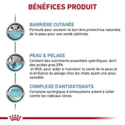 Royal Canin Vet Chat Skin & Coat 12 X 85 G -Magasin De Fournitures Pour Animaux De Compagnie royal canin vet chat skin coat 12 x 85 g 3