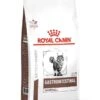 Royal Canin Vet Chat Gastrointestinal Hairball 2 Kg 1 Royal Canin Vet Chat Gastrointestinal Hairball 2 Kg -Magasin De Fournitures Pour Animaux De Compagnie royal canin veterinary cat gastrointestinal hairball 4 kg 1