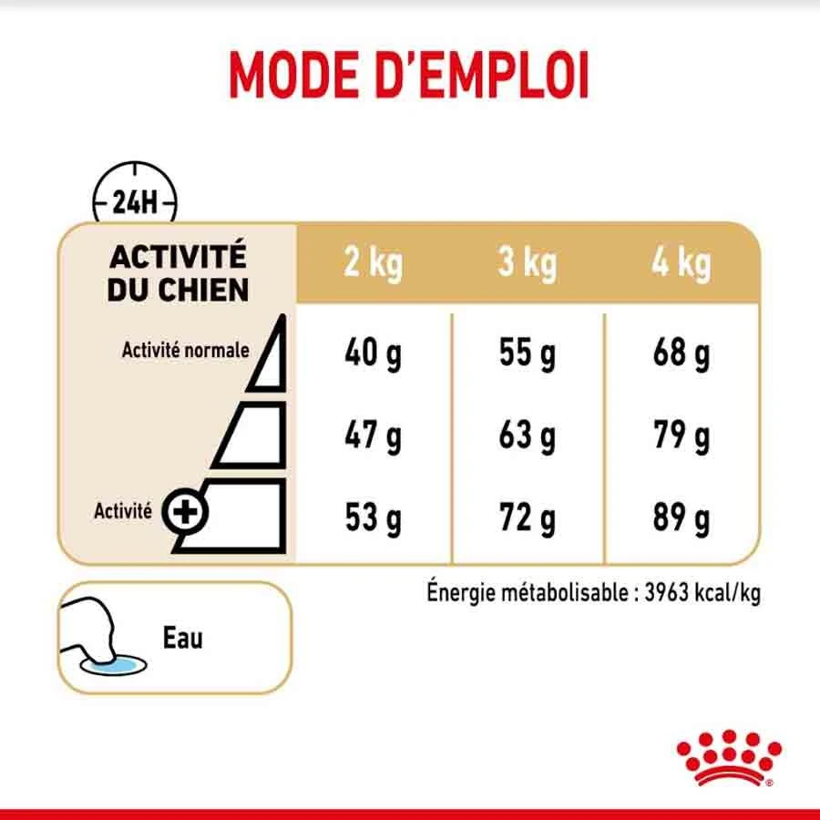 Royal Canin Yorkshire Terrier Adult 8+ 1,5 Kg 6 Royal Canin Yorkshire Terrier Adult 8+ 1,5 Kg – Image 4