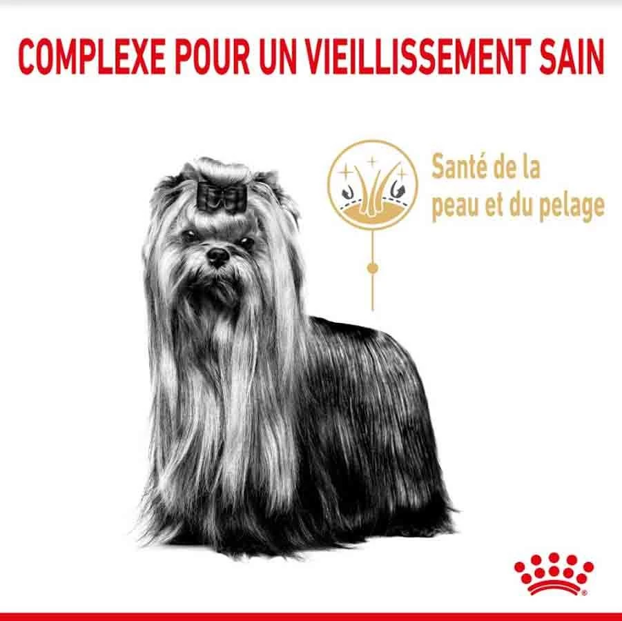 Royal Canin Yorkshire Terrier Adult 8+ 1,5 Kg 4 Royal Canin Yorkshire Terrier Adult 8+ 1,5 Kg – Image 2