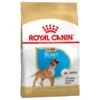 Royal Canin Boxer Puppy 3 Kg -Magasin De Fournitures Pour Animaux De Compagnie royal canin boxer puppy la compagnie des animaux