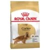 Royal Canin Cocker Adult 12 Kg 1 Royal Canin Cocker Adult 12 Kg -Magasin De Fournitures Pour Animaux De Compagnie royal canin cocker adult la compagnie des animaux