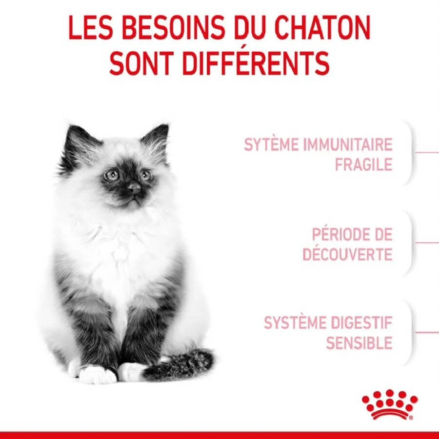 Royal Canin Féline Health Nutrition Kitten Second Age 10 Kg 7 Royal Canin Féline Health Nutrition Kitten Second Age 10 Kg – Image 5