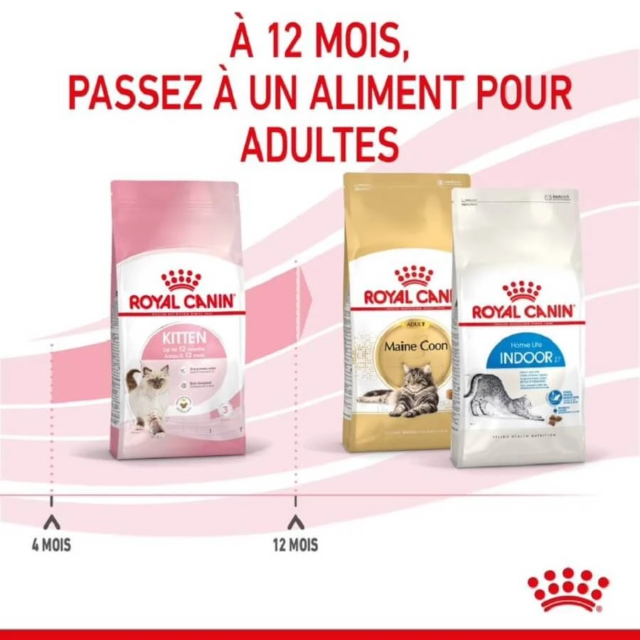 Royal Canin Féline Health Nutrition Kitten Second Age 10 Kg 10 Royal Canin Féline Health Nutrition Kitten Second Age 10 Kg – Image 8