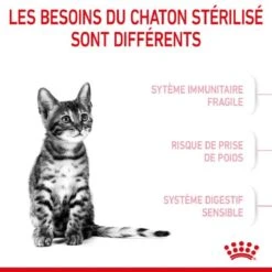 Royal Canin Feline Health Nutrition Kitten Sterilised 2 Kg 11 Royal Canin Feline Health Nutrition Kitten Sterilised 2 Kg -Magasin De Fournitures Pour Animaux De Compagnie royal canin feline health nutrition kitten sterilised 2