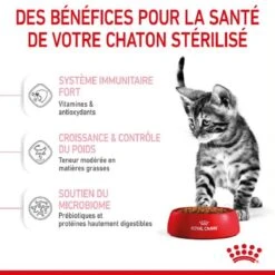 Royal Canin Feline Health Nutrition Kitten Sterilised 2 Kg 12 Royal Canin Feline Health Nutrition Kitten Sterilised 2 Kg -Magasin De Fournitures Pour Animaux De Compagnie royal canin feline health nutrition kitten sterilised 3