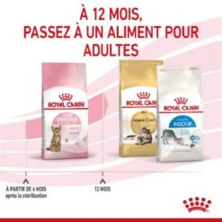Royal Canin Feline Health Nutrition Kitten Sterilised 2 Kg 14 Royal Canin Feline Health Nutrition Kitten Sterilised 2 Kg -Magasin De Fournitures Pour Animaux De Compagnie royal canin feline health nutrition kitten sterilised 5
