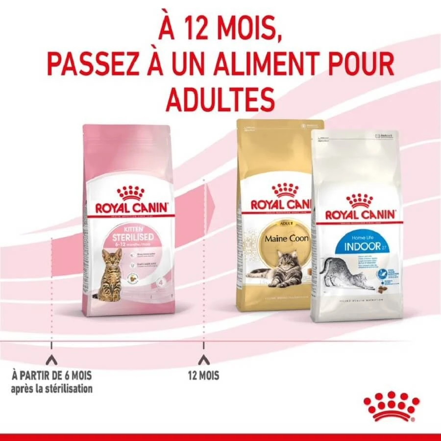 Royal Canin Feline Health Nutrition Kitten Sterilised 2 Kg 7 Royal Canin Feline Health Nutrition Kitten Sterilised 2 Kg – Image 5