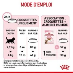 Royal Canin Feline Health Nutrition Kitten Sterilised 2 Kg 16 Royal Canin Feline Health Nutrition Kitten Sterilised 2 Kg -Magasin De Fournitures Pour Animaux De Compagnie royal canin feline health nutrition kitten sterilised 7