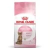 Royal Canin Feline Health Nutrition Kitten Sterilised 2 Kg -Magasin De Fournitures Pour Animaux De Compagnie royal canin feline health nutrition kitten sterilised 9