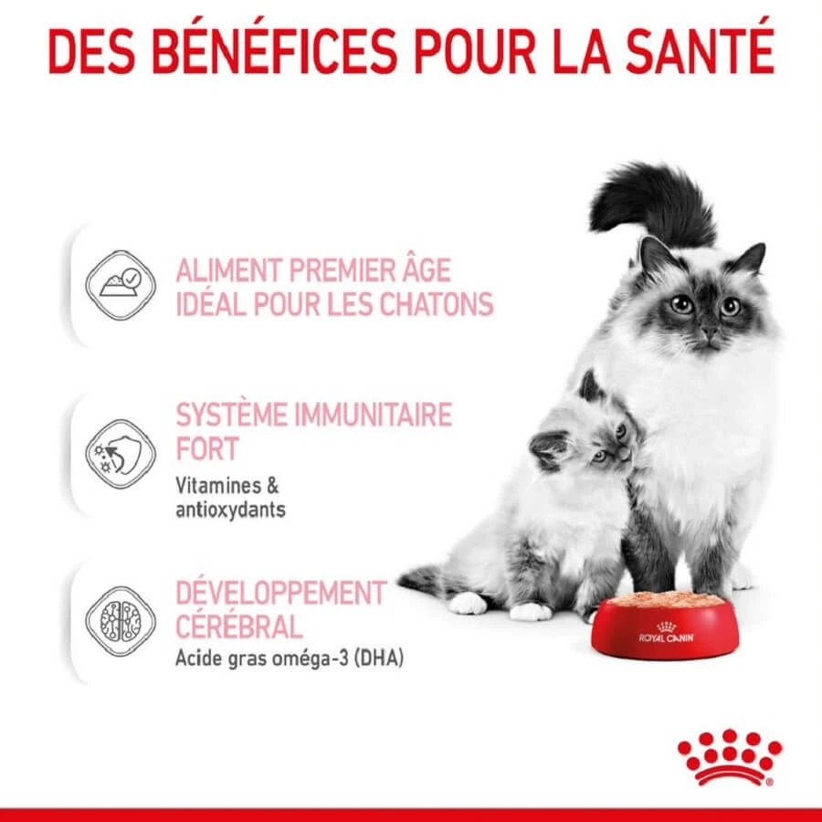 Royal Canin Feline Health Nutrition Mother & Babycat Mousse 12 X 195 G 5 Royal Canin Feline Health Nutrition Mother & Babycat Mousse 12 X 195 G – Image 3