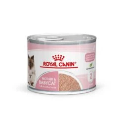 Royal Canin Feline Health Nutrition Mother & Babycat Mousse 12 X 195 G