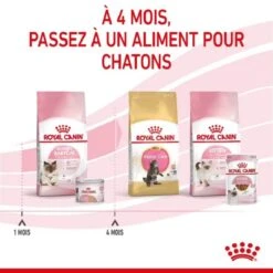 Royal Canin Feline Health Nutrition Mother & Babycat Mousse 12 X 195 G 16 Royal Canin Feline Health Nutrition Mother & Babycat Mousse 12 X 195 G -Magasin De Fournitures Pour Animaux De Compagnie royal canin feline health nutrition mother babycat mousse 12 x 195 g 8