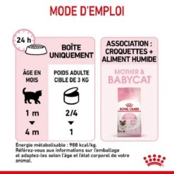 Royal Canin Feline Health Nutrition Mother & Babycat Mousse 12 X 195 G 18 Royal Canin Feline Health Nutrition Mother & Babycat Mousse 12 X 195 G -Magasin De Fournitures Pour Animaux De Compagnie royal canin feline health nutrition mother babycat mousse 12 x 195 g 9