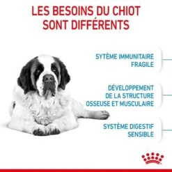 Royal Canin Junior Giant 15 Kg -Magasin De Fournitures Pour Animaux De Compagnie royal canin junior giant 2 1