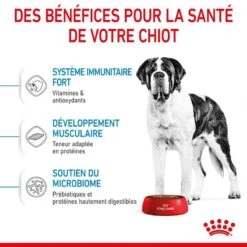 Royal Canin Junior Giant 15 Kg -Magasin De Fournitures Pour Animaux De Compagnie royal canin junior giant 3