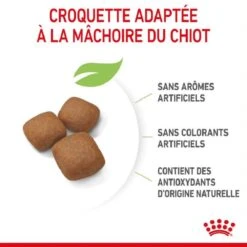 Royal Canin Junior Giant 15 Kg -Magasin De Fournitures Pour Animaux De Compagnie royal canin junior giant 4