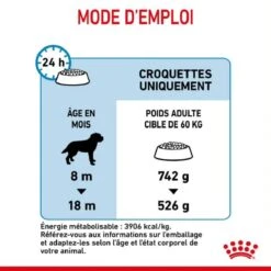 Royal Canin Junior Giant 15 Kg -Magasin De Fournitures Pour Animaux De Compagnie royal canin junior giant 6