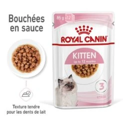 Royal Canin Kitten En Sauce 12 X 85 Grs 17 Royal Canin Kitten En Sauce 12 X 85 Grs -Magasin De Fournitures Pour Animaux De Compagnie royal canin kitten en sauce 2