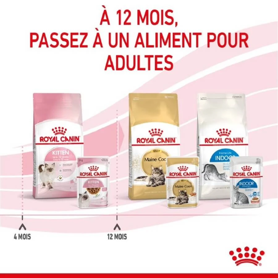 Royal Canin Kitten En Sauce 12 X 85 Grs 10 Royal Canin Kitten En Sauce 12 X 85 Grs – Image 8