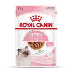 Royal Canin Kitten En Sauce 12 X 85 Grs 16 Royal Canin Kitten En Sauce 12 X 85 Grs -Magasin De Fournitures Pour Animaux De Compagnie royal canin kitten en sauce 4