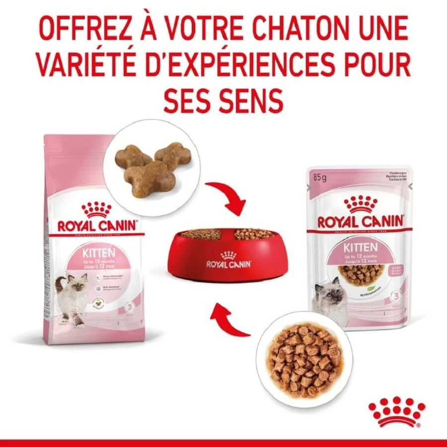 Royal Canin Kitten En Sauce 12 X 85 Grs 9 Royal Canin Kitten En Sauce 12 X 85 Grs – Image 7