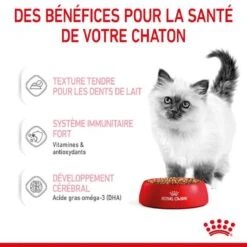 Royal Canin Kitten En Sauce 12 X 85 Grs 18 Royal Canin Kitten En Sauce 12 X 85 Grs -Magasin De Fournitures Pour Animaux De Compagnie royal canin kitten en sauce 8
