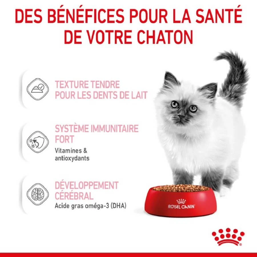Royal Canin Kitten En Sauce 12 X 85 Grs 7 Royal Canin Kitten En Sauce 12 X 85 Grs – Image 5