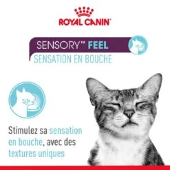 Royal Canin Sensory Multipack Sauces Pour Chat 12 X 85 G -Magasin De Fournitures Pour Animaux De Compagnie royal canin multipack sauce sensation feel pour chat
