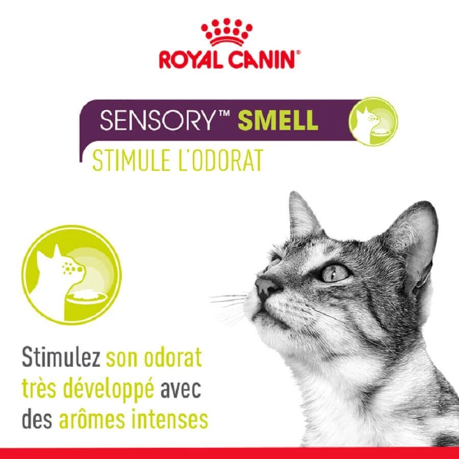 Royal Canin Sensory Multipack Sauces Pour Chat 12 X 85 G – Image 3