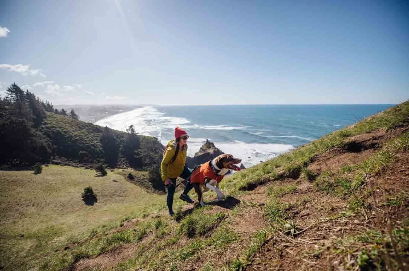 Ruffwear Overcoat Fuse Harness Jacket Orange M 11 Ruffwear Overcoat Fuse Harness Jacket Orange M – Image 9