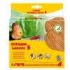 Sera Catappa Leaves Feuilles De Badamier S -Magasin De Fournitures Pour Animaux De Compagnie sera catappa leaves feuilles de badamier s 1