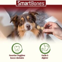 Smartbones Snack Mini Au Poulet Pour Chien 8 Pcs 7 Smartbones Snack Mini Au Poulet Pour Chien 8 Pcs -Magasin De Fournitures Pour Animaux De Compagnie smartbones snack mini au poulet 8 pcs 4