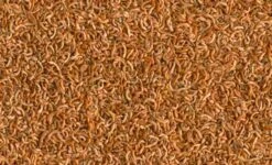 Tetra Gammarus 1 L 5 Tetra Gammarus 1 L -Magasin De Fournitures Pour Animaux De Compagnie tetra grammarus 1l 1